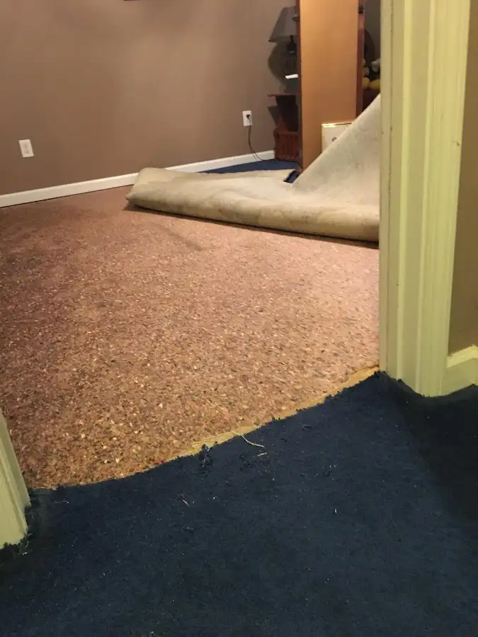 Carpet pad removal revealing water damage during Drying & Dehumidification in Longswamp