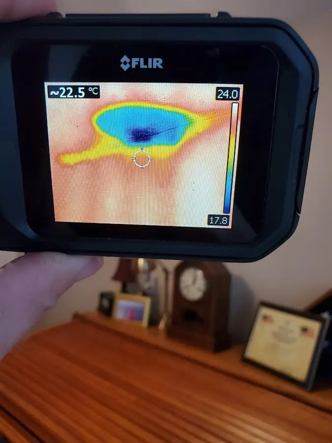Thermal imaging inspection for water damage in Longswamp